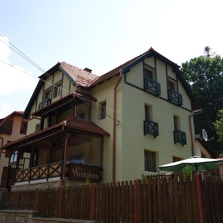 Villa Atriolum BaileTusnad Rom bilde