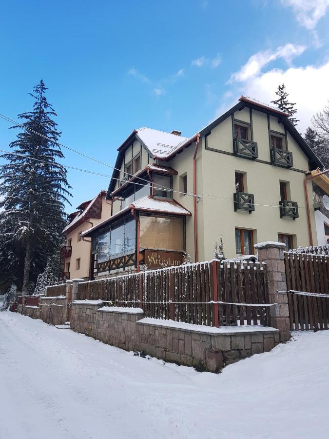Villa Atriolum BaileTusnad Eksteriør bilde