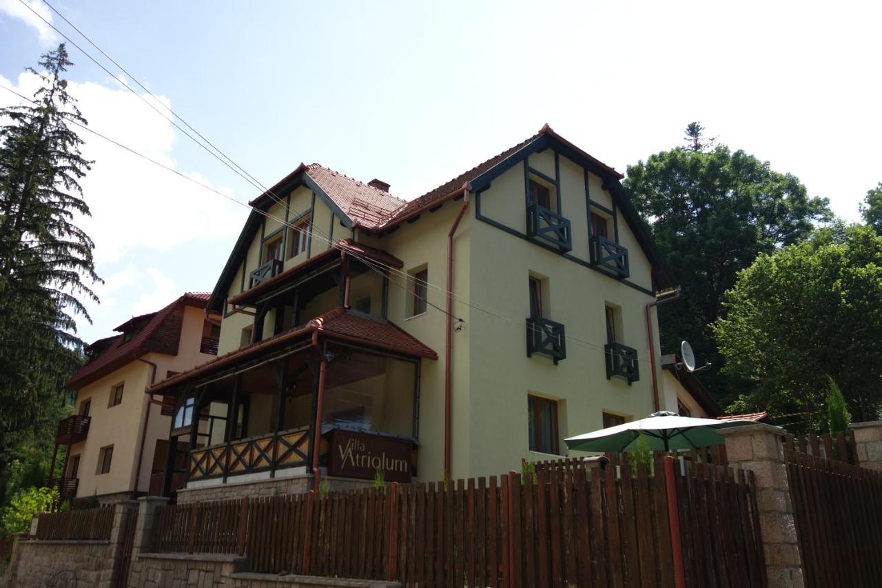 Villa Atriolum BaileTusnad Rom bilde